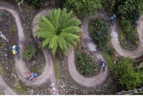 © Timberlands Pacific Pty Ltd Mountain biking trail