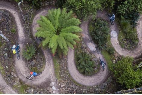 © Timberlands Pacific Pty Ltd Mountain biking trail