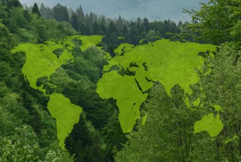 FSC International News