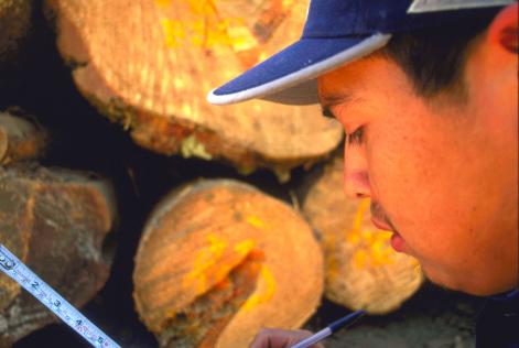 FSC Modular Approach Program (MAP)