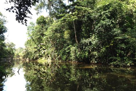 Casual Vacancies filled