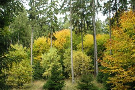 Casual Vacancy filled