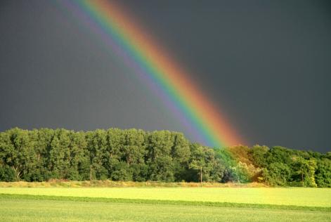 Policy and Standards Officer for Asia Pacific