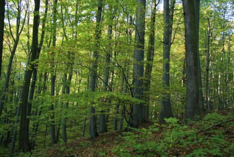 Incorrect Reporting in the Australian Financial Review Today