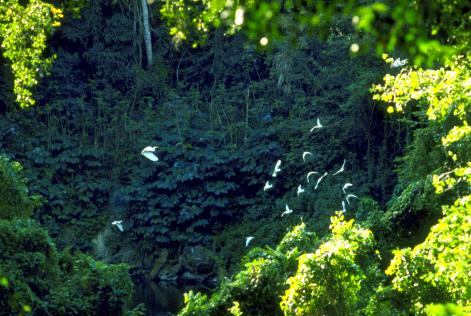 Business Development Manager for New Zealand