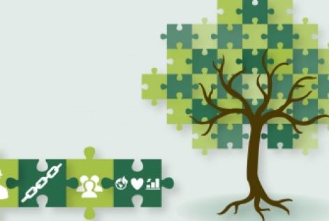 Success of the 2014 Knowledge Tree Series