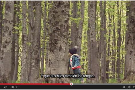 You are, we are the Forest Stewardship Council