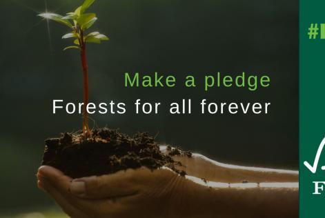 FSC FRIDAY 2016 BANNER / NEWS