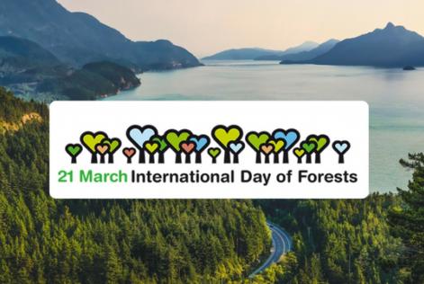International Forests Day 2017