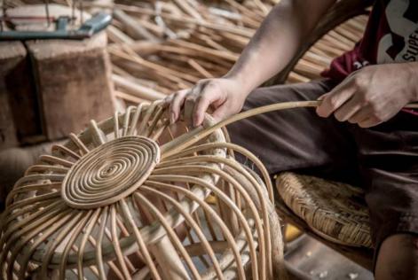 2017 WWF Report Cover