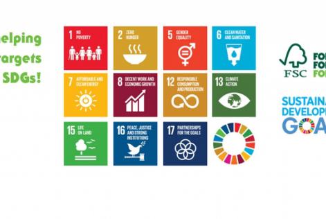 FSC UN SDG BANNER
