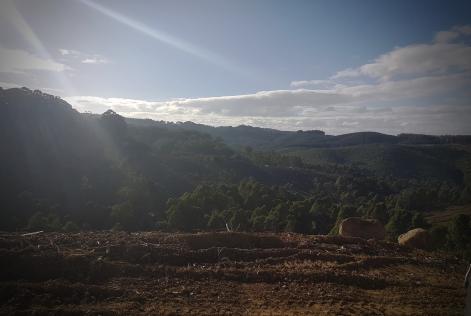 HVP Site in Gippsland