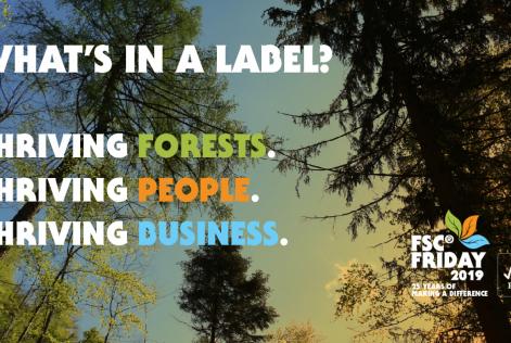FSC Friday 2019 image 1 what's in a forest