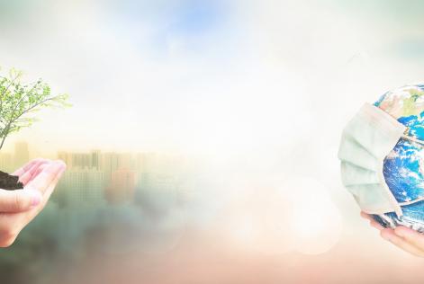 stock photo Fsc policy response