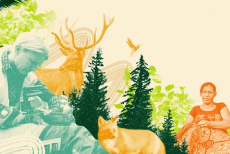 FSC friday banner 2020