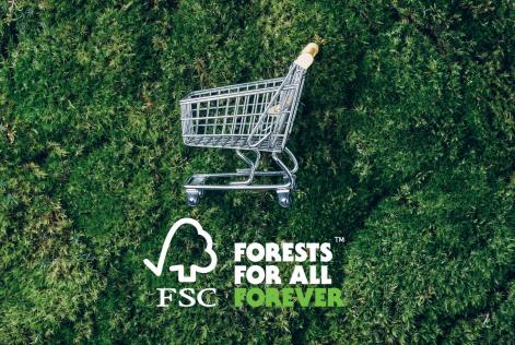 Global Consumer Research