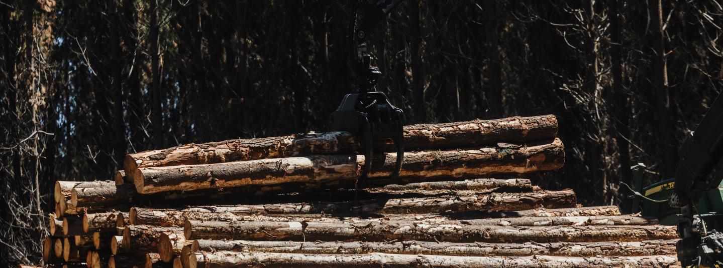 FSC ANZ - Andreas Weiss.jpg