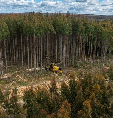 FSC© Rob Burnett 2023.png