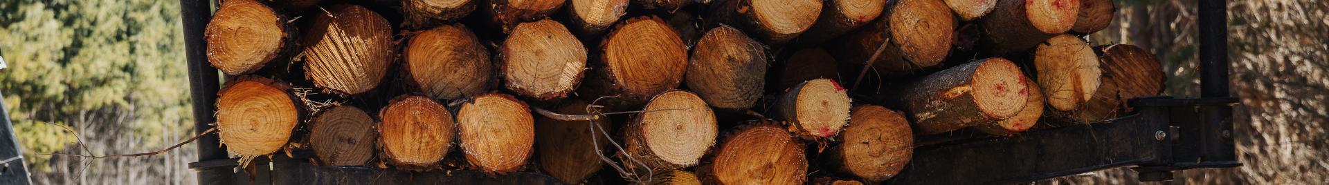 FSC Certified Logs