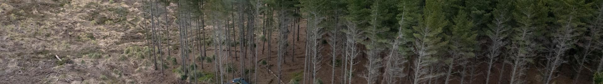 © FSC Australia and New Zealand / Angelo Giannoutsos