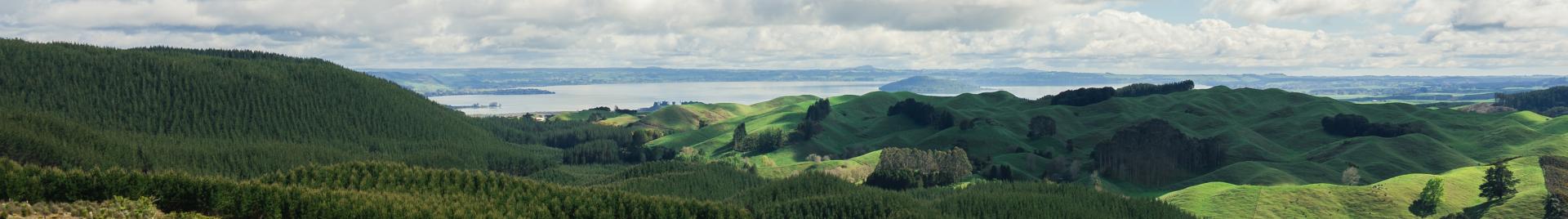 Kaingaroa Tipu