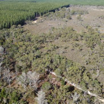 Werrikoo_2024_burn area.JPG