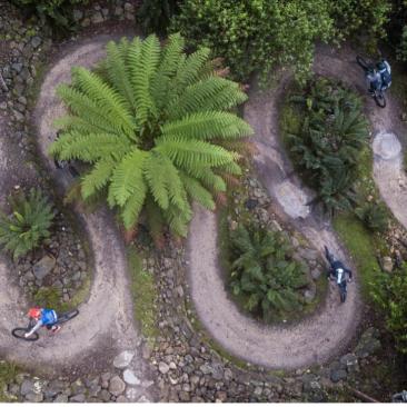 © Timberlands Pacific Pty Ltd Mountain biking trail