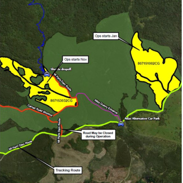 © Timberlands Pacific Pty Ltd Forestry Planning