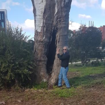 NAIDOC Celebrations 2017 001