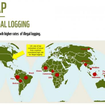 WWF Illegal Logging
