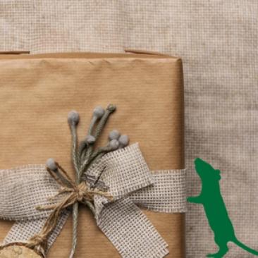 Christmas good vibes 2017