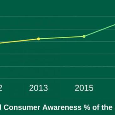 Growth & Insights 001/2017